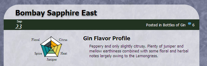 Example of Gin Review Infographic